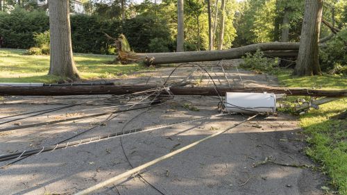 A fallen tree has downed a power line and barricaded the street in a small town after a storm.