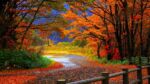 Beautiful fall colors for leaf peeping trips to Michigan.